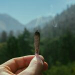 Wat een cannabisverslaving met jou kan doen